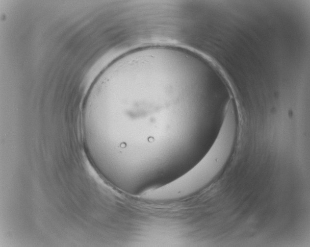 X0000051911295200507152021