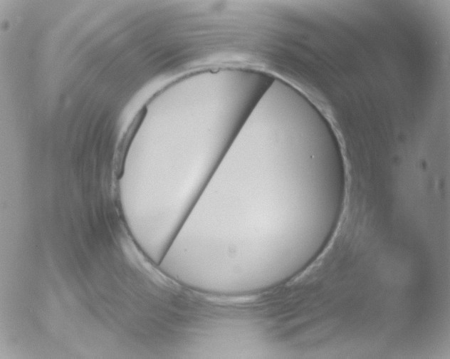 X0000051911296200507152021