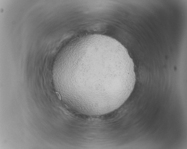 X0000051911297200507152020