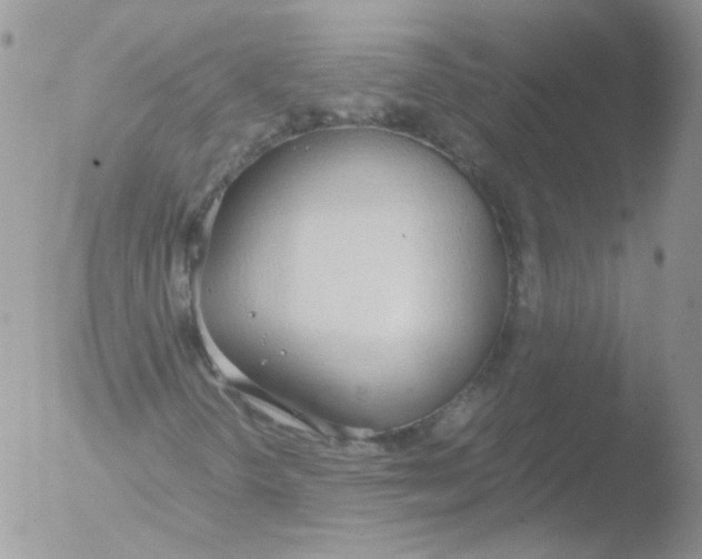 X0000051911298200507152020