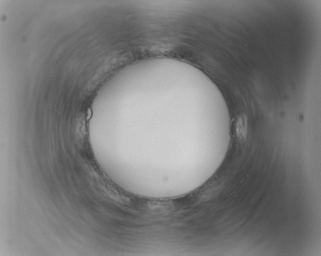 X0000051911299200507152020