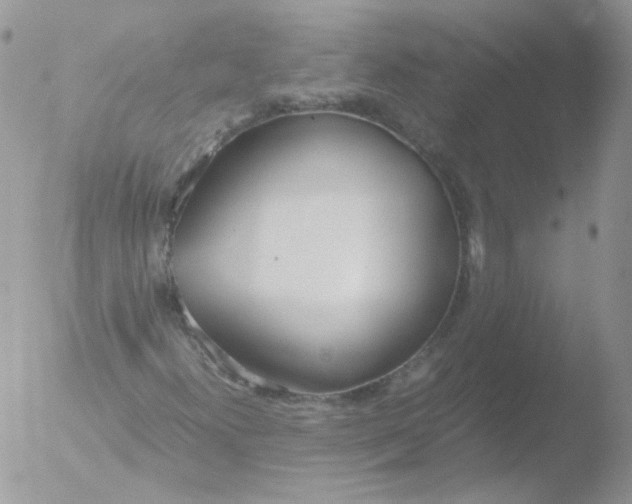 X0000051911300200507152020