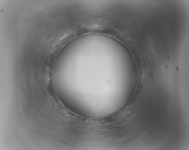 X0000051911301200507152020