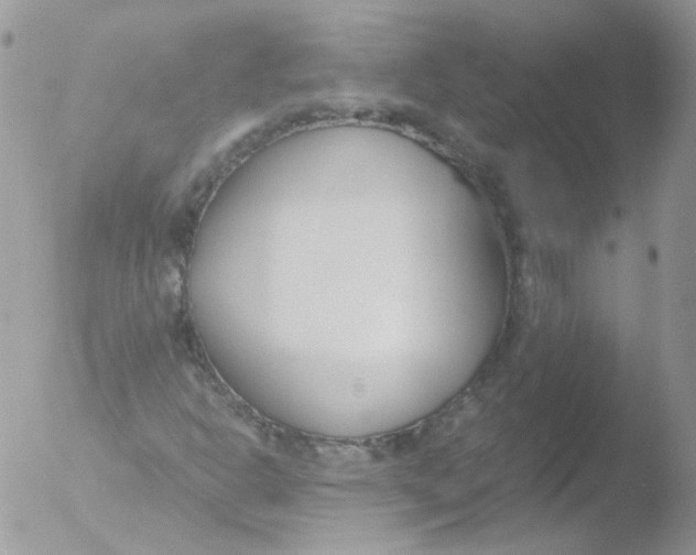 X0000051911302200507152020