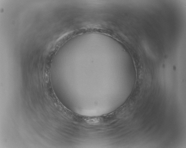 X0000051911303200507152020