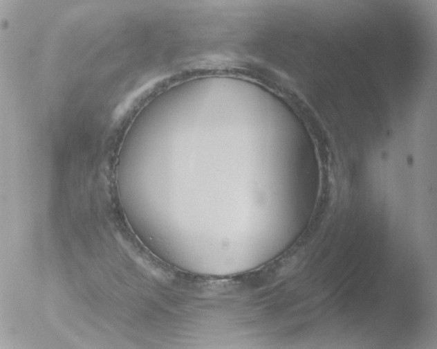 X0000051911304200507152020