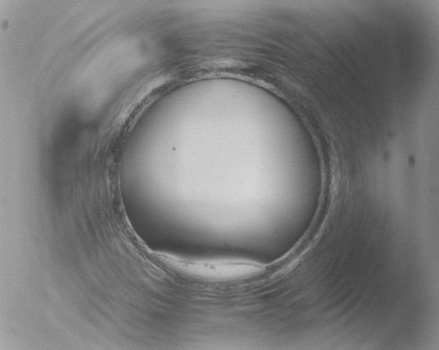 X0000051911305200507152020