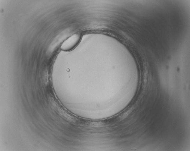 X0000051911306200507152020