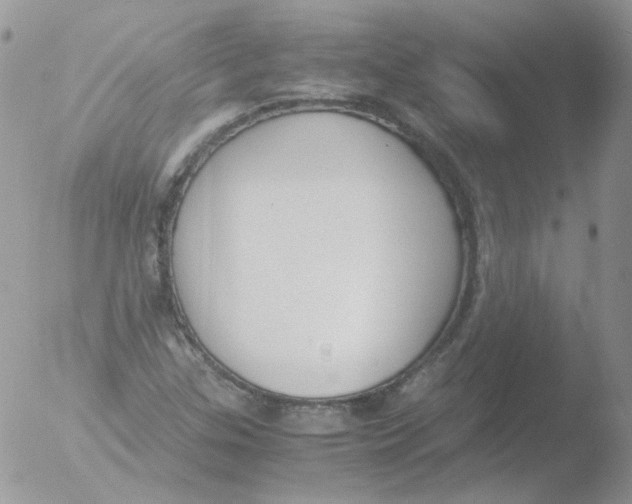 X0000051911307200507152020