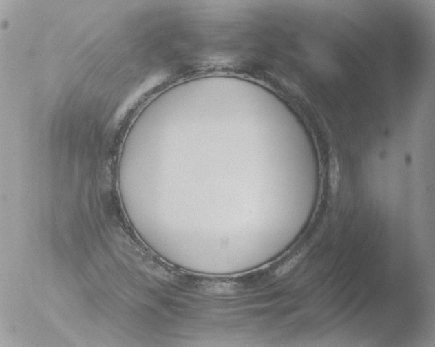 X0000051911309200507152020