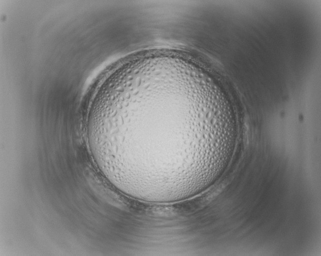 X0000051911310200507152020