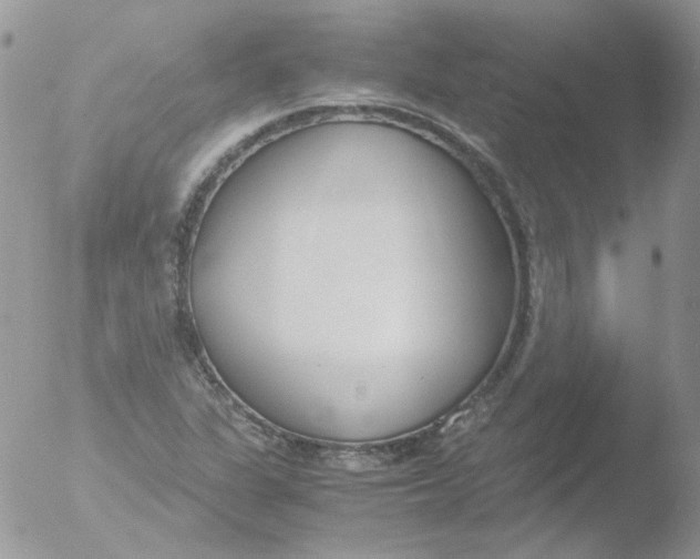 X0000051911311200507152020