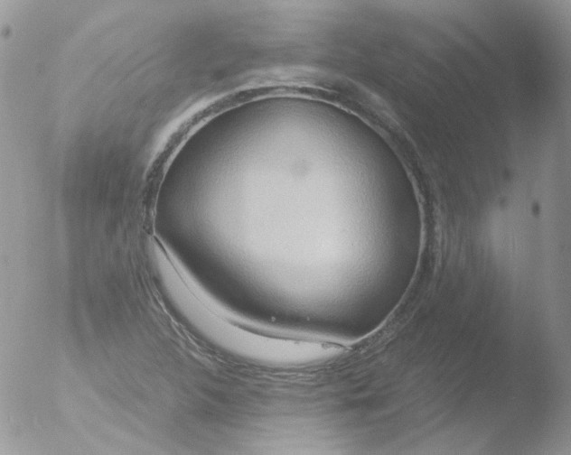 X0000051911312200507152020