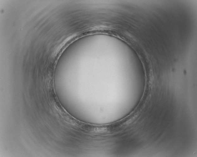 X0000051911313200507152020