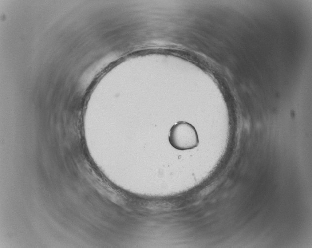 X0000051911314200507152020