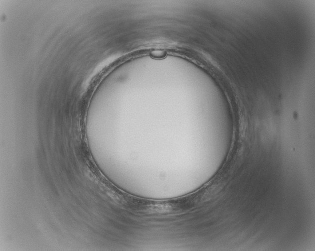 X0000051911315200507152020