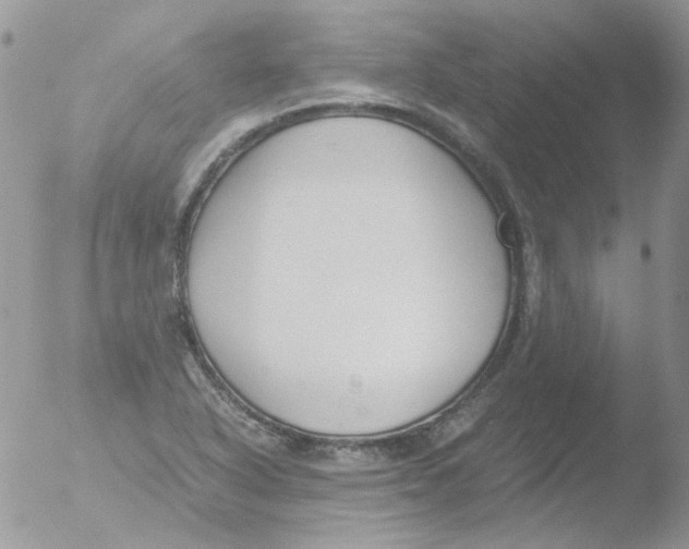 X0000051911318200507152020