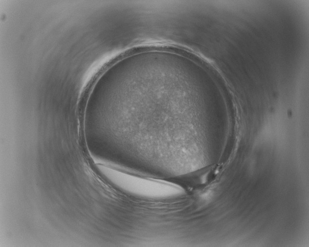 X0000051911319200507152020