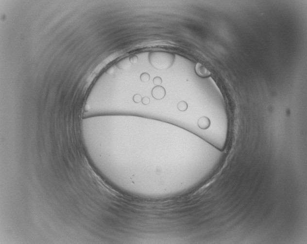 X0000051911321200507152020