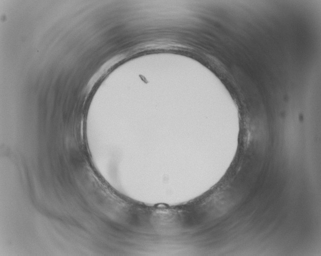 X0000051911322200507152020