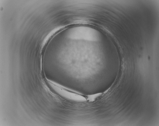 X0000051911323200507152020