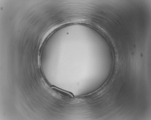 X0000051911324200507152020