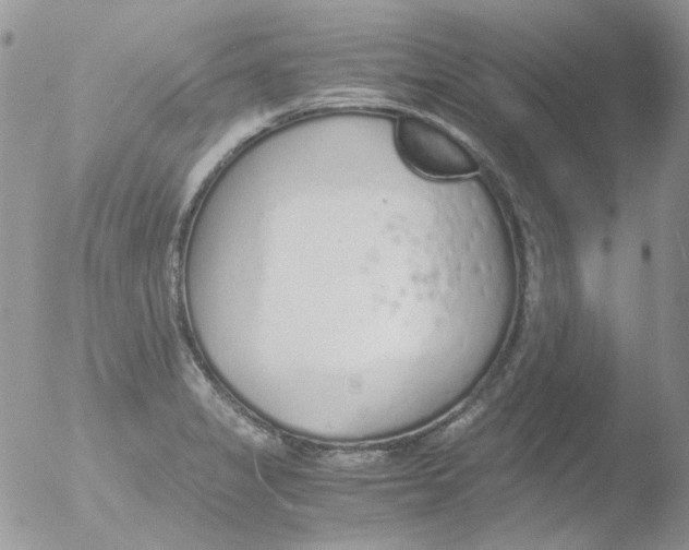 X0000051911325200507152020