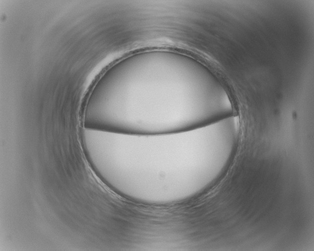 X0000051911326200507152020