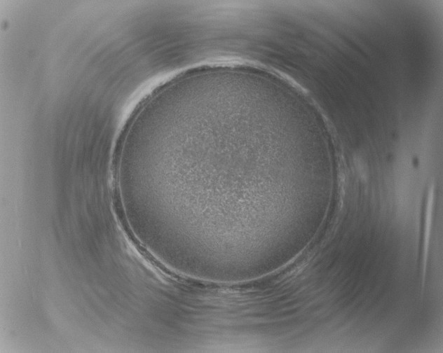 X0000051911327200507152021