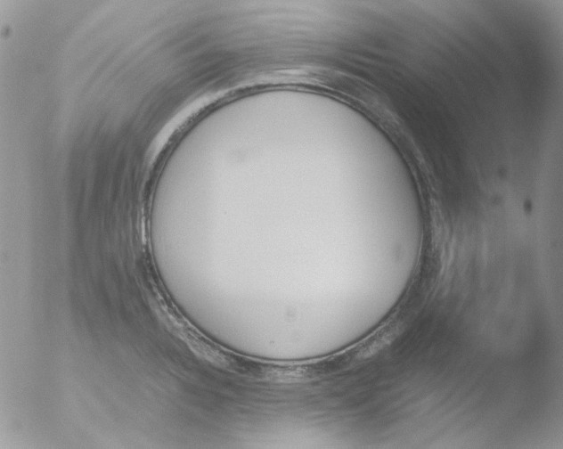 X0000051911328200507152021