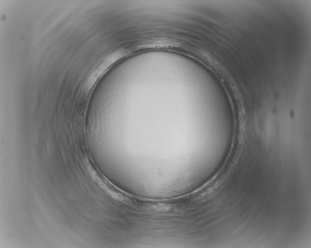 X0000051911329200507152021