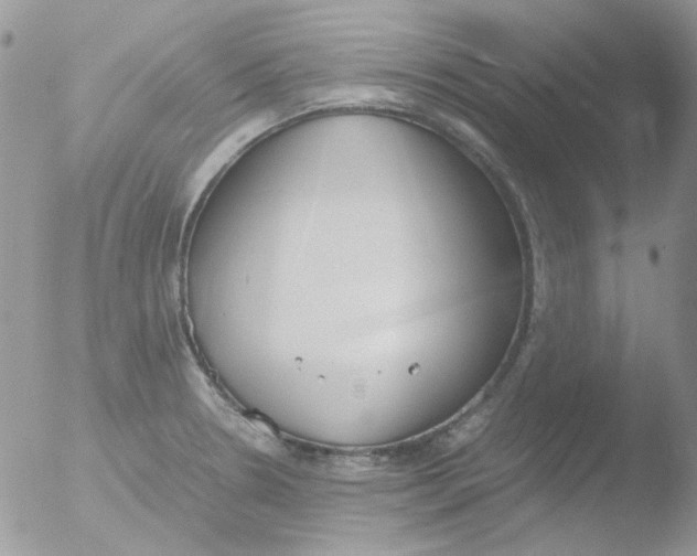 X0000051911330200507152021