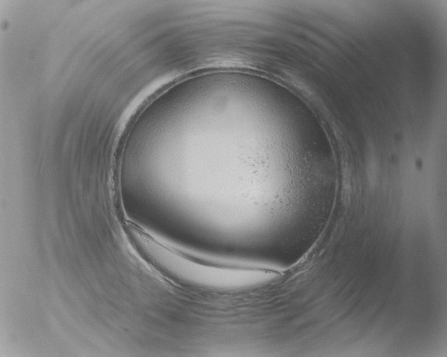 X0000051911331200507152021