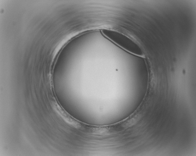 X0000051911332200507152021