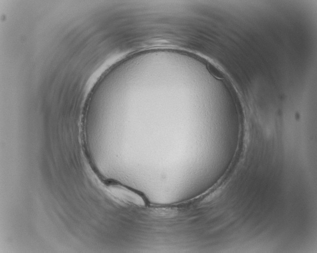 X0000051911333200507152021