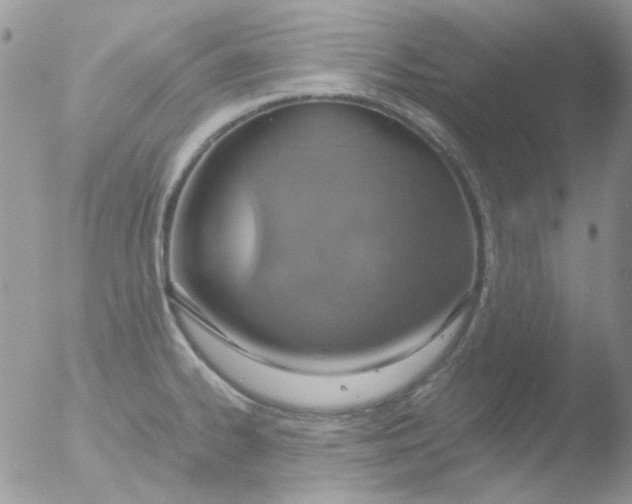 X0000051911334200507152021