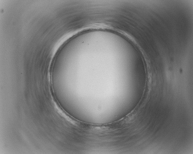 X0000051911335200507152021