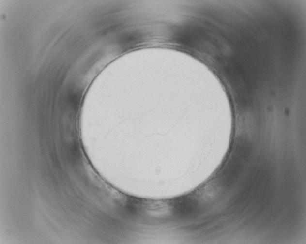 X0000051911338200507152021