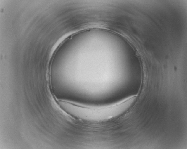 X0000051911339200507152021