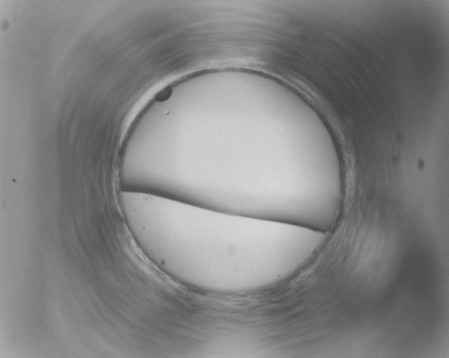 X0000051911340200507152021