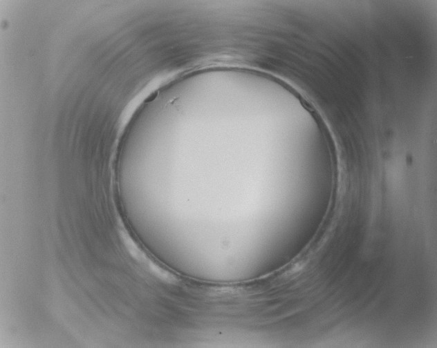 X0000051911341200507152021