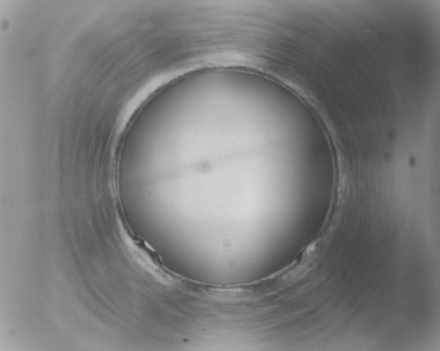 X0000051911342200507152021