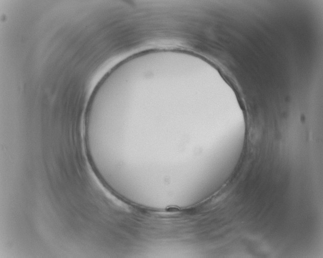 X0000051911343200507152021