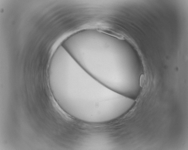 X0000051911344200507152021