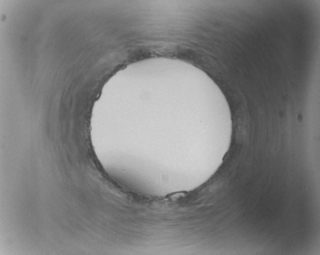 X0000051911345200507152020