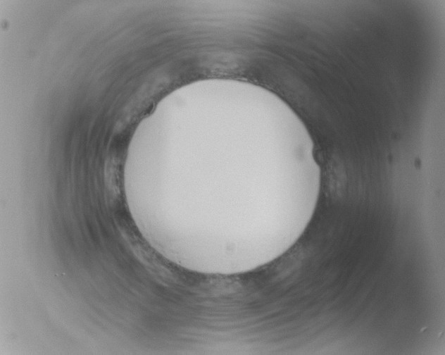 X0000051911346200507152020