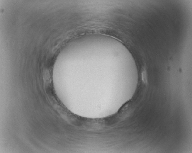 X0000051911347200507152020