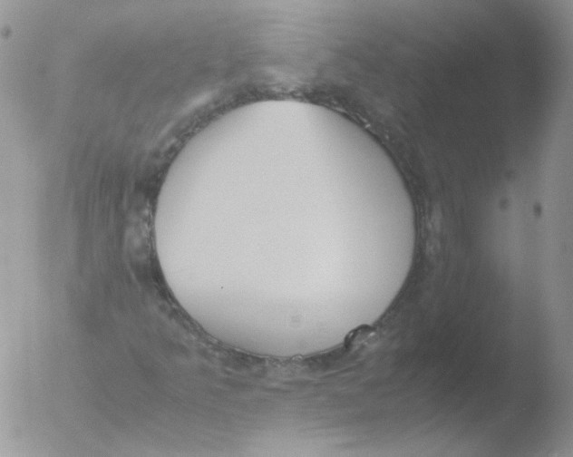 X0000051911349200507152020