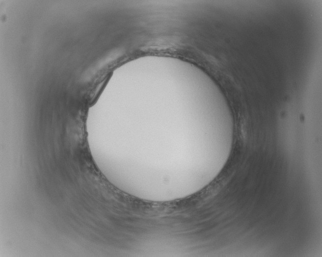 X0000051911350200507152020