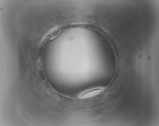 X0000051911351200507152020